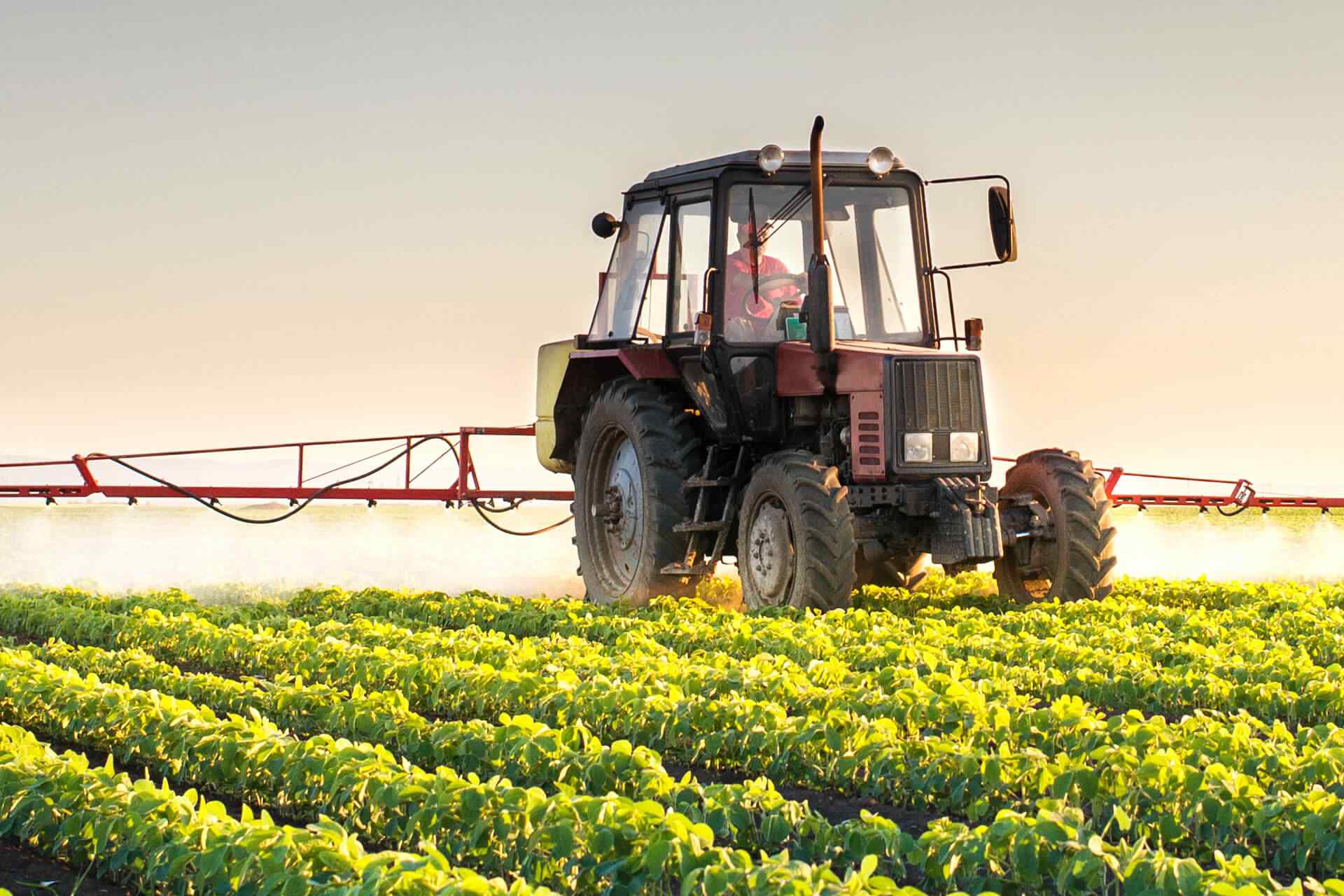 Photographer of the year